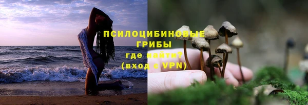 герыч Алзамай