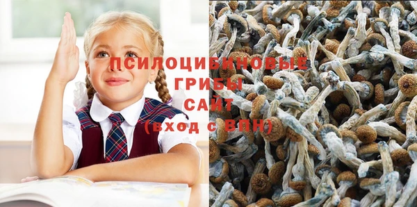 кокс Абдулино