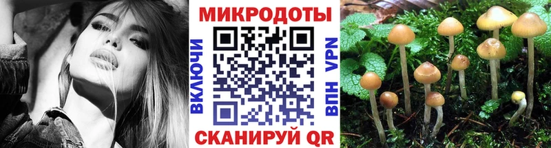 Псилоцибиновые грибы Cubensis  Подольск 
